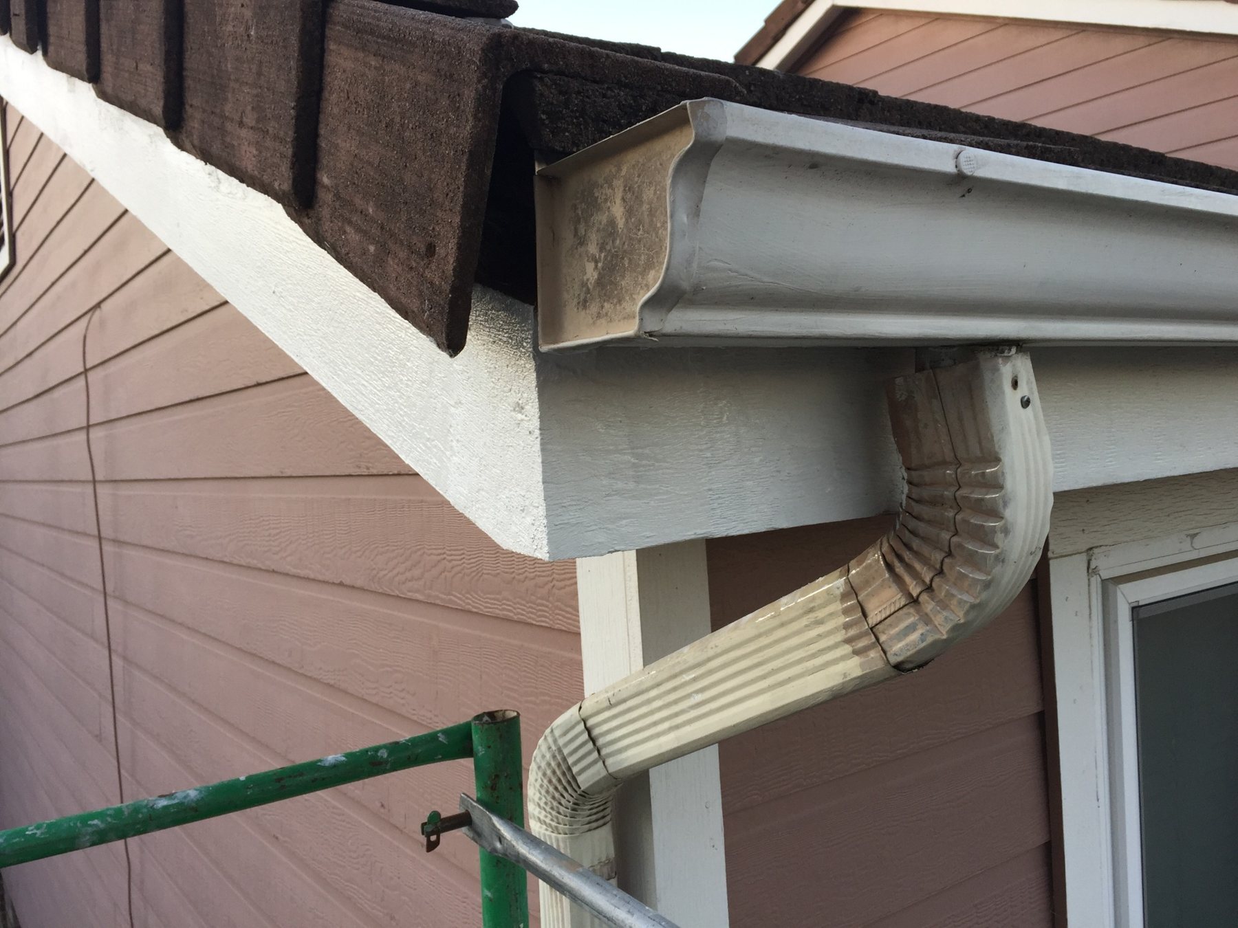 Repaired fascia
